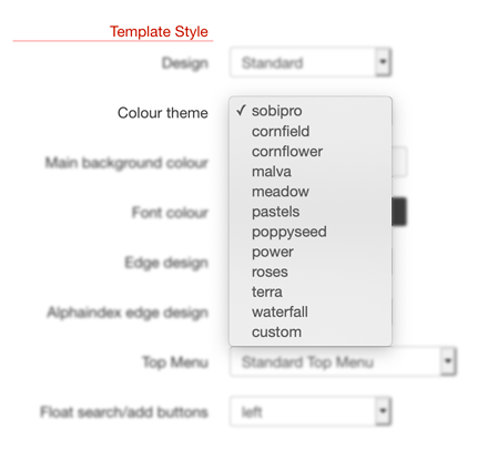 Template Settings - Colour theme screenshot
