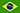 Brazilian Portuguese (pt-BR)