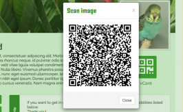 QR-Code image in a modal window