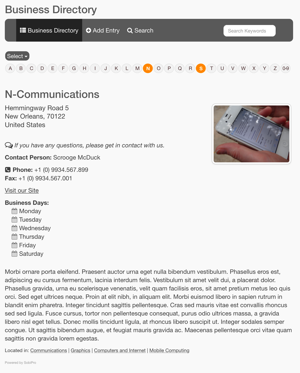 The SobiPro details view on front-end screenshot